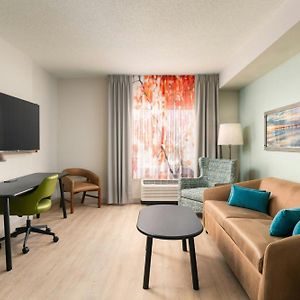 King Suite Sofa Bed Mobility Accessible Tub